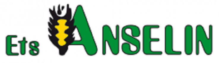 Anselin