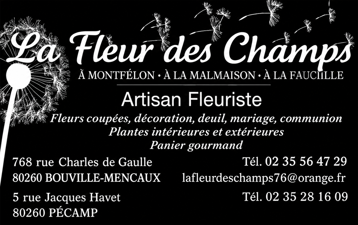 La Fleur des Champs